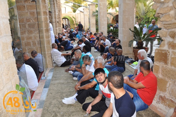 3ed ad7a ma7modiya (23).JPG